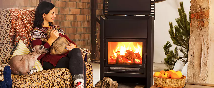 Wood Stove Chimney Cleaning Services in Parole, MD