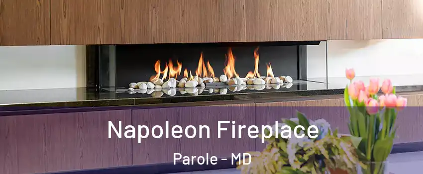  Napoleon Fireplace Parole - MD